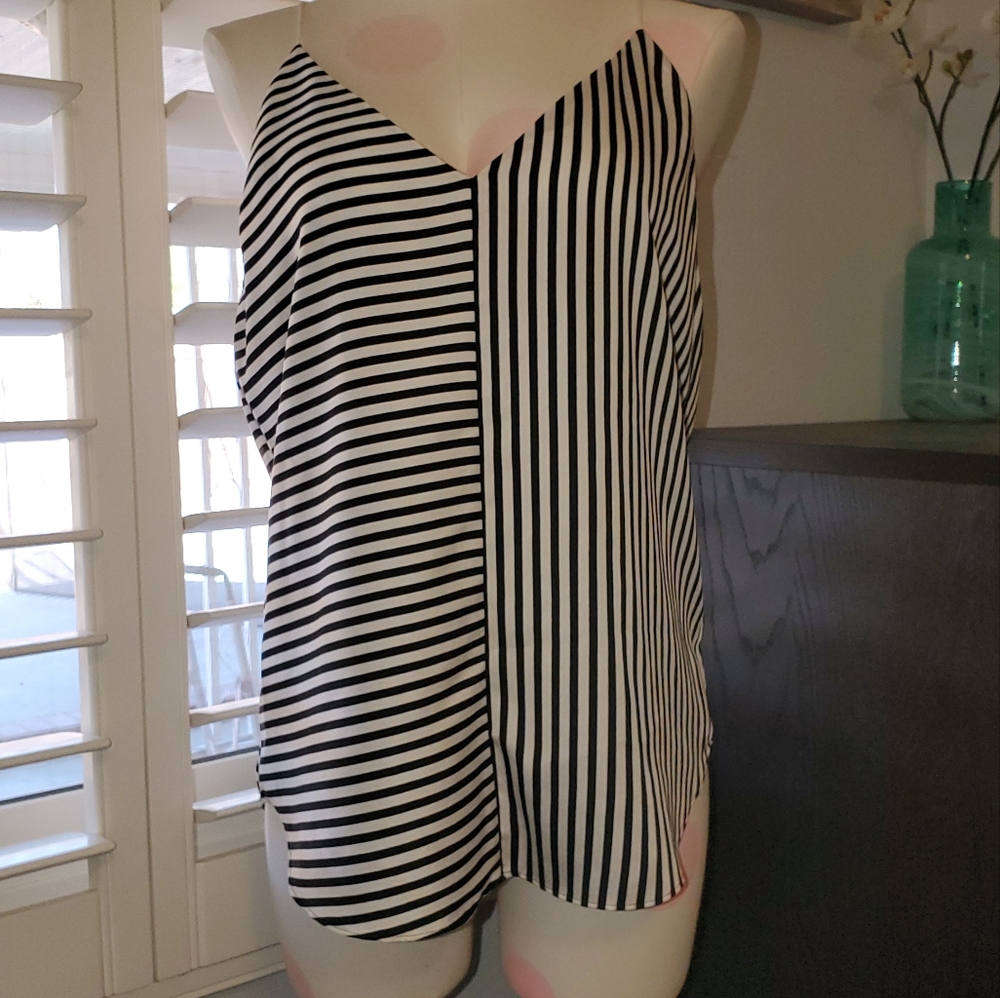 Express V Neck Camisole